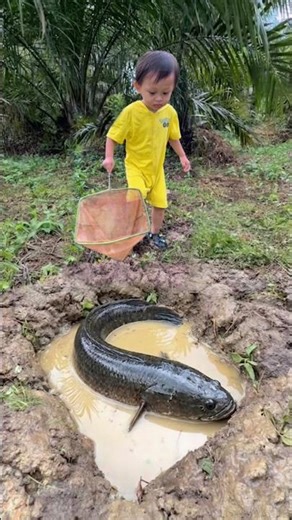 Survival Skills: Smart and Creative little baby catches big fish