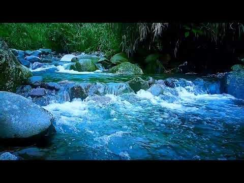 🍃 Whispering River ASMR Sounds for Deep Sleep, Relaxation & Stress Relief