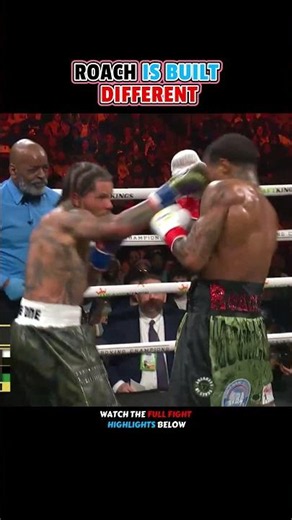 Davis VS. Roach | HIGHLIGHTS #boxing #sports #combat