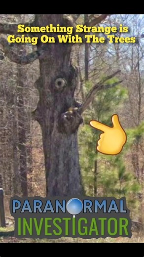 Something strange Going on with the Trees