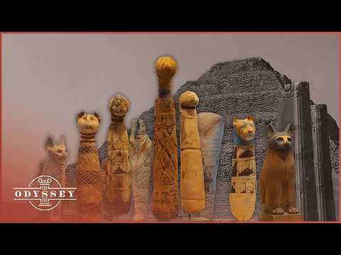 The Largest Animal Cemetery: Why 8 Million Dogs Were Buried at Saqqara