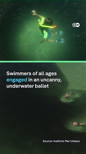 Millions of anchovies swarm Rio’s Copacabana Beach | DW News