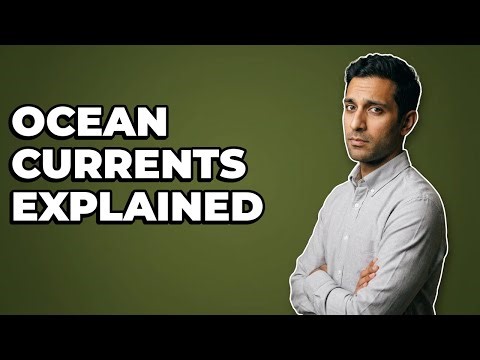 What Is the Coriolis Effect's Impact on Ocean Currents?