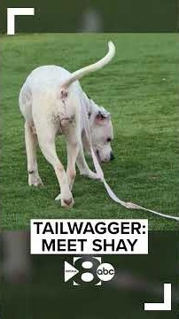 Shay is 8 years old.