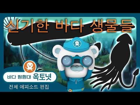 바다 탐험대 옥토넛 - 🪬 신기한 바다 생물들 🦑 - 150분+ 편집 - 모음집
