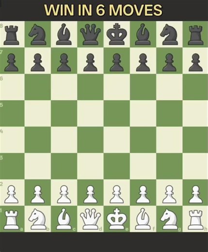Checkmate in 6 moves / Chess openings and tricks