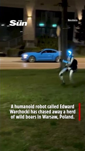 Humanoid robot chases off wild boars in Warsaw, Poland
