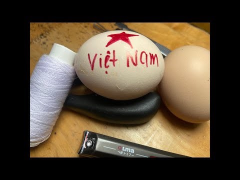 RAW EGG PEELING LIVE