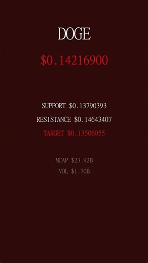 Dogecoin Price Update - $0.14216900 (-2.54% Down)