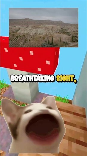 Discover Venezuela's Unique Wonders!