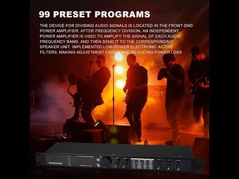 Cwmiibili Digital Reverberation Multi Effect Processor Equalizer Review