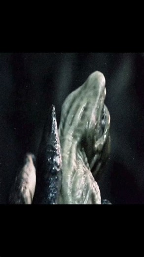 When predator kills baby alien 👽 #predator #alien