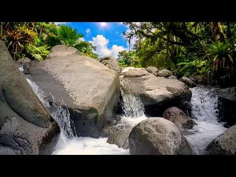 🎋 Zen Meditation, Japanese Flute, River Ambience, Inner Peace Sleep 🌊 Mountain Stream Temple #nature