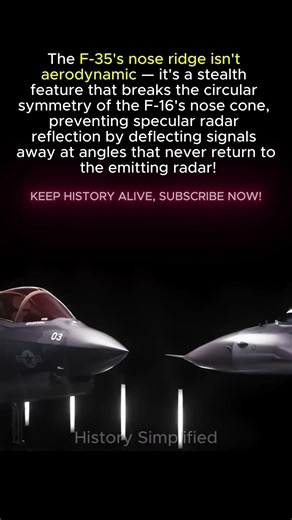 F-16 Has A Round Nose. F-35's Ridge Is There For 1 STEALTH Reason