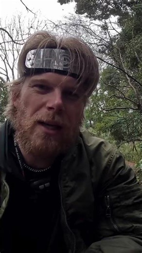 Murder Hornets Attacked Me While Sitting on a Log 😱 | Tama Hills Japan