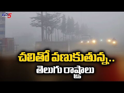 చలి పంజా..! Cold Wave Intensifies Across Telugu States | Temperatures Drop in TG & AP | TV5 News