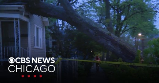 High winds leave downed trees, power lines across Chicago area, NW Indiana