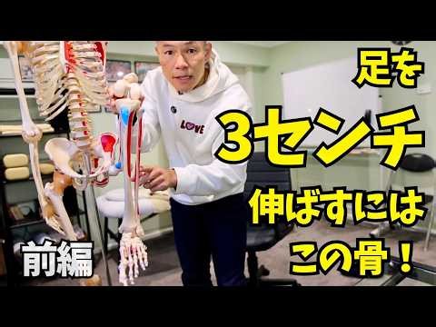 【足3cm伸ばす/前編】O脚・ししゃも足・むくみはここが原因！人体で2番目に太い「〇〇骨」をほぐして美脚ラインを作る骨学講義【VOL.3】