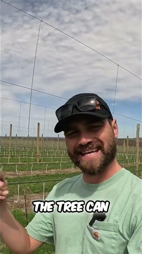 How N-Zone Max Helps Stabilize Nitrogen