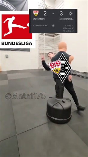 VfB Stuttgart vs. Gladbach 2:3 💀 Jedes Mal das Gleiche...