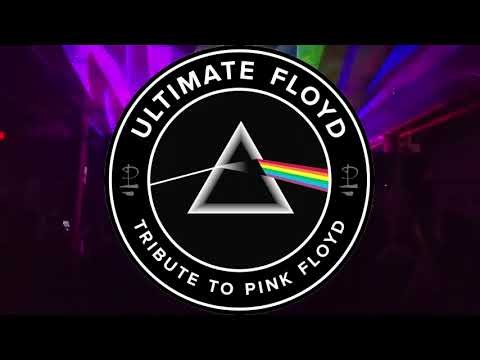 Ultimate Floyd Highlights from Ace Cafe, Sanford FL 10 -21-26
