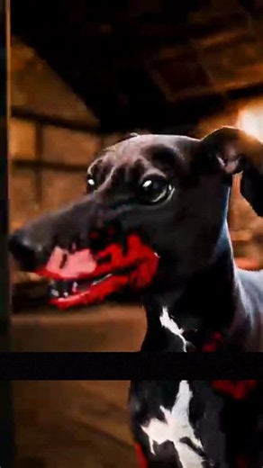 L'erreur tragique de ce maître va vous briser le cœur 😭 #animauxmignons #chien #ChienFidele