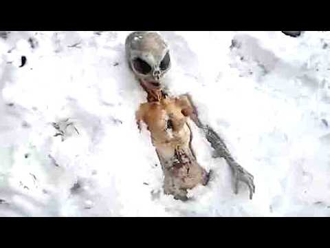 Texas Man: "I Did Not Believe In Aliens Until I Saw Them Myself"