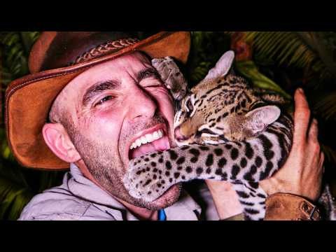 Ocelot Attack, Deadly Scorpion & Venomous Snake! OG Coyote Peterson Episode Compilation (2014-2016)