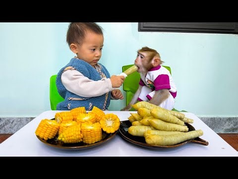 Diem gave Monkey Kaka edible canna and arrowroot to enjoy.