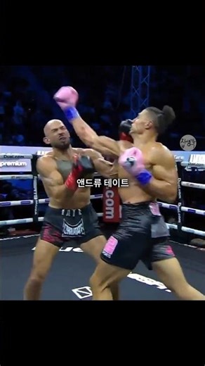 한때 남자들의 영웅이었던 앤드류 테이트, 충격의 복싱 경기 결과