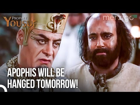 The King Has Made His Final Decision Regarding The Assassins - Most Popular Scenes|Prophet Yousuf