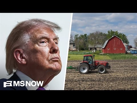 Trump suffers double digit loss in support from rural voters in latest poll