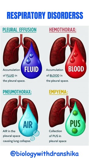 Respiratory Disorders 🫁 | Know the Signs, Protect Your Lungs #respiratorydisorders #lunghealth