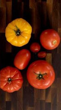 Tomato Types: Explained 🍅