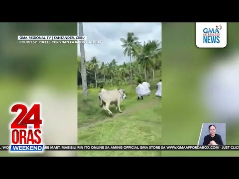 Mga sakristan para sa "Pax Tecum", hinarang at hinabol ng baka at kambing | 24 Oras Weekend