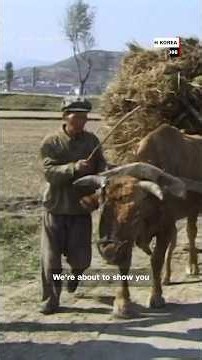 The secret lives of North Korea
