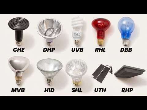 Every Reptile HEAT SOURCE Explained in 8 Minutes