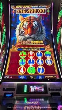 Tiger Bonus on a new slot for me, not a bad hit #casino #casinofans #casinofun