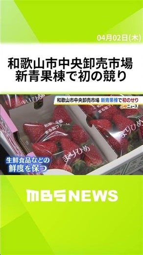 和歌山市中央卸売市場・新青果棟で初の競り「初心に戻って頑張る」 耐震性の問題受けた建て替えが完了 外気の影響受けず屋内の温度一定に保てる閉鎖型を採用 #short