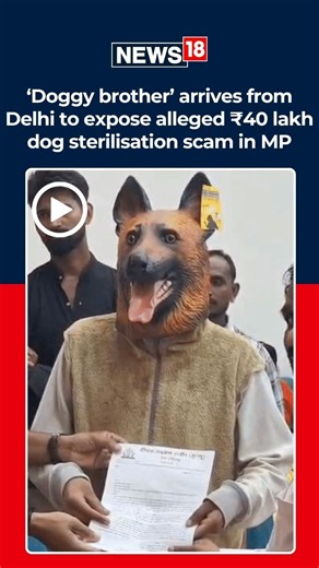 Corruption Allegation Over Dog Sterilisation in Khandwa, ₹40 Lakh Bill Questioned | N18S