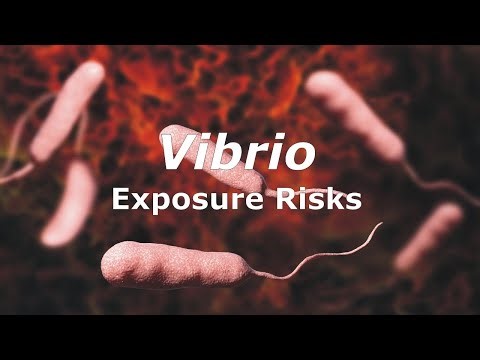 Vibrio Exposure Risks