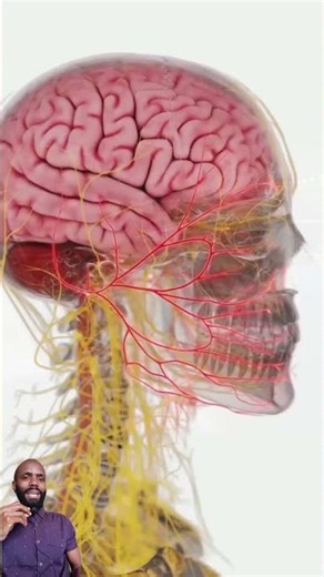 Brain damage in boxing