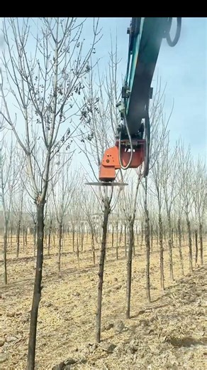 Excavator Tree Topping Machine #work #farming
