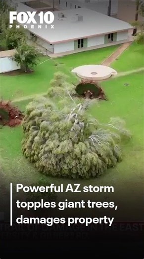Severe storm causes tornado-like damage in Mesa | FOX 10 Phoenix
