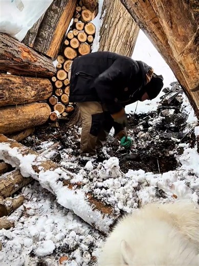 Surviving Alone in a Snowy Cabin in the Forest