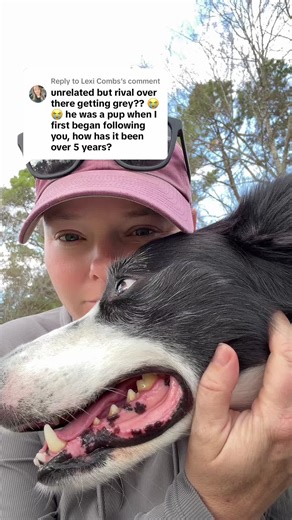 Replying to @Lexi Combs | puppy