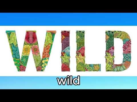 letter W song (my version)