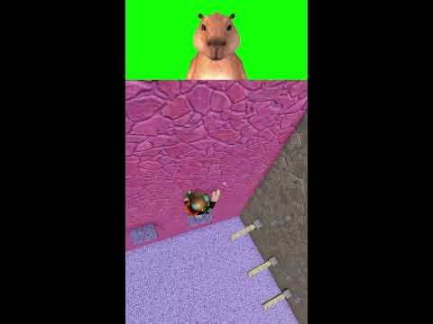 Roblox obby stream