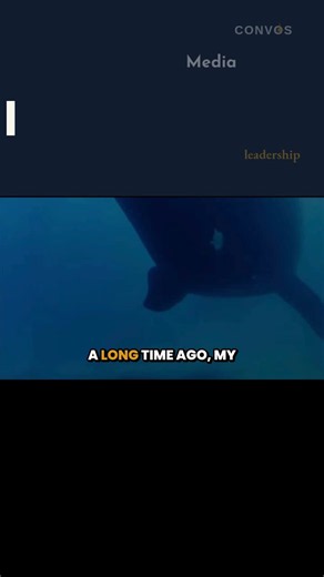 Researchers have linked the release of WHALE RIDER to increased whale watching and conservation work in New Zealand. Wonderful!  But beyond social impact this movie is about resilience, love… | Kia Kiso