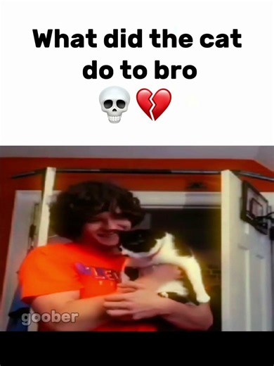 Poor cat bro😭